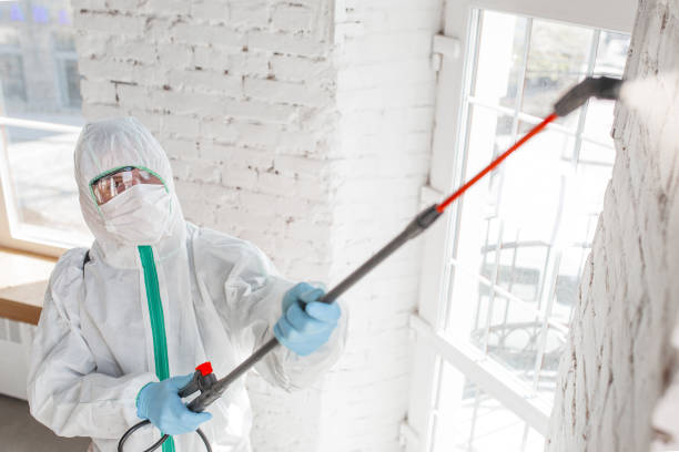Falkville, AL Mold Removal Company