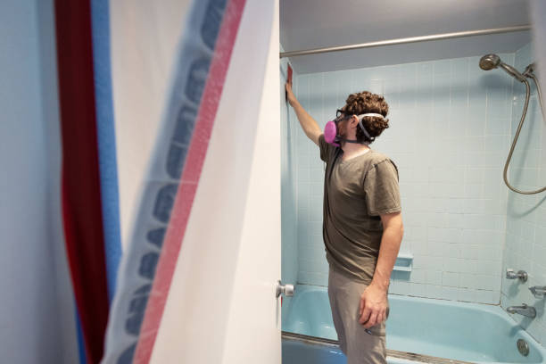 Best Mold Prevention Services  in Fkville, AL