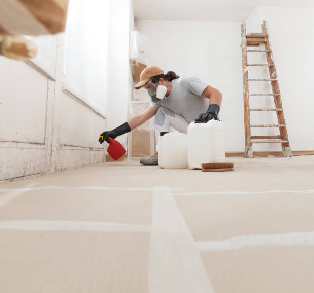 Best Industrial Mold Remediation  in Fkville, AL